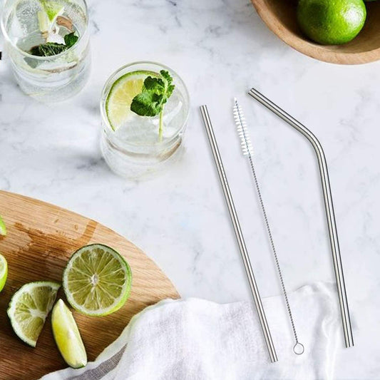Fast Foodie™ Stainless Steel Straw Kit (10pc)
